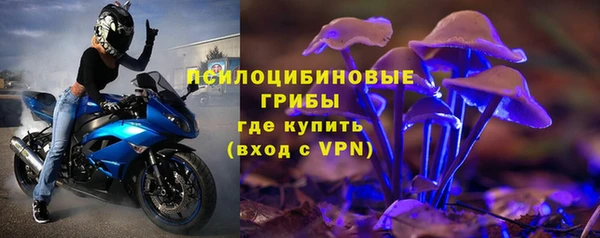 тгк Нязепетровск