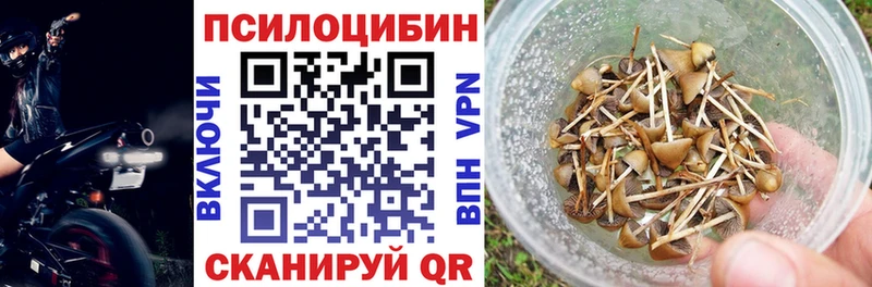 дарнет шоп  ссылка на мегу   Галлюциногенные грибы Psilocybe  Мурино 