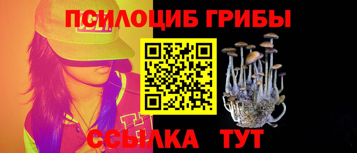Псилоцибиновые грибы мицелий Мурино
