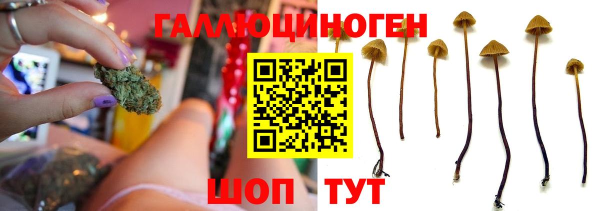 Псилоцибиновые грибы мухоморы Мурино